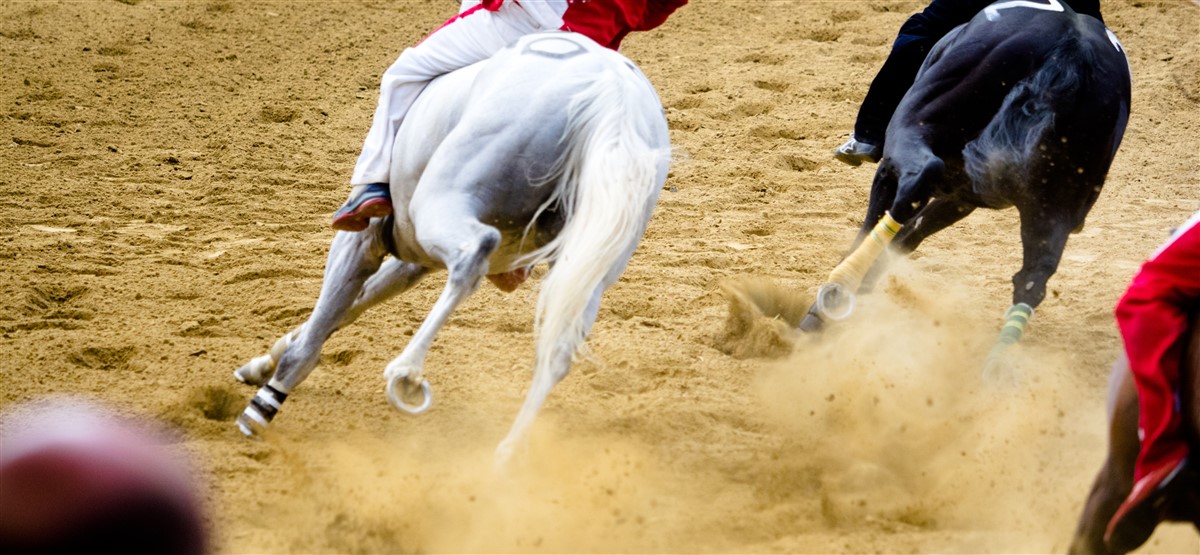 Parier sur les courses